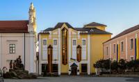 Vinnytsia Local History Museum