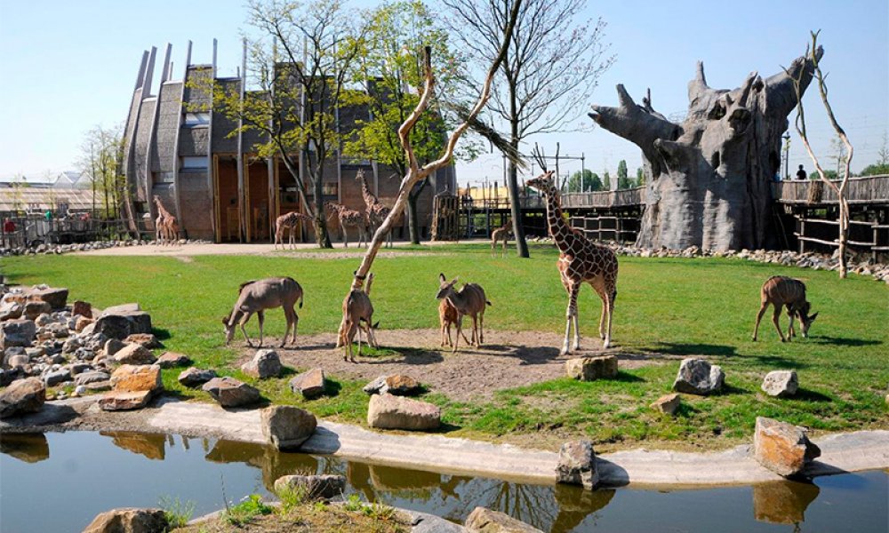 rotterdam-zoo