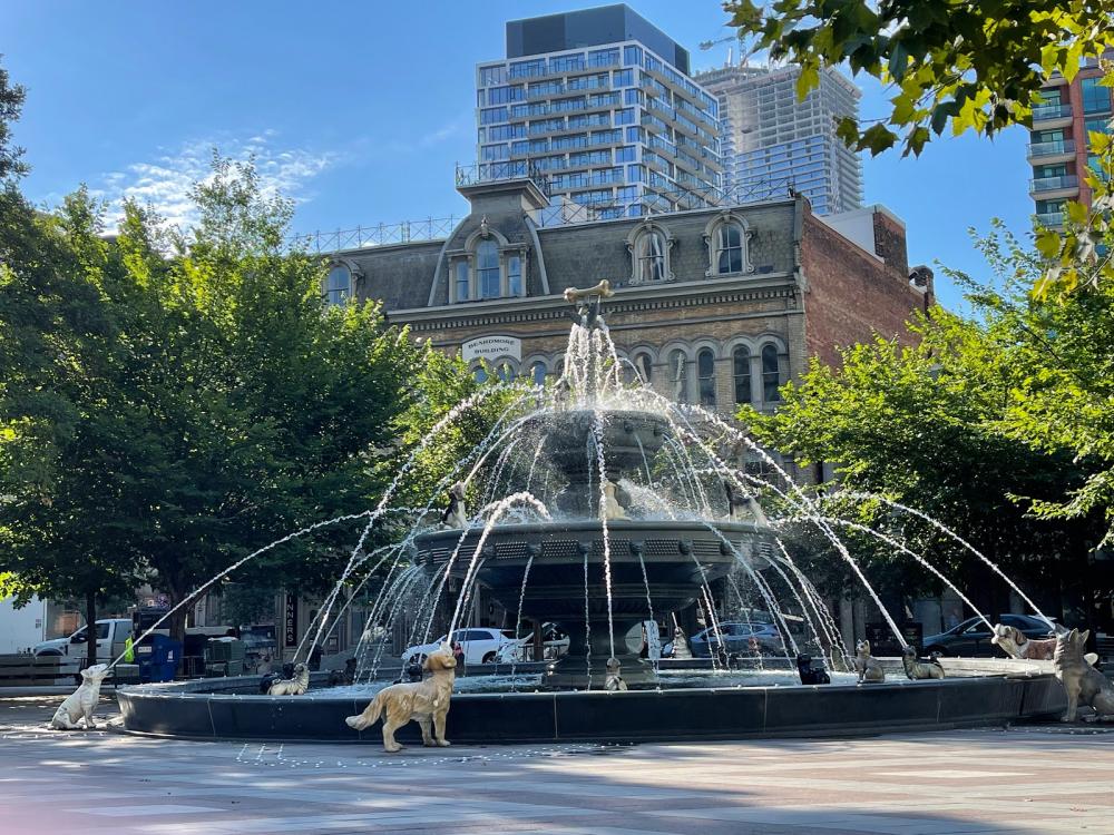 berczy-park-dog-fountain